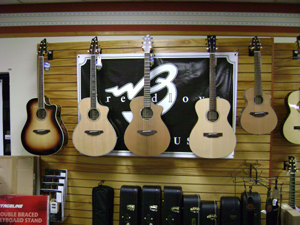 BREEDLOVE GUITARS